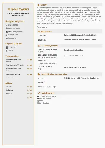 Laboratuvar Teknisyeni Cv Örnekleri cv indir